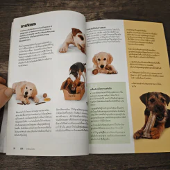 โรงเรียนลูกสุนัข Puppy School - Gwen Bailey รูปที่ 8