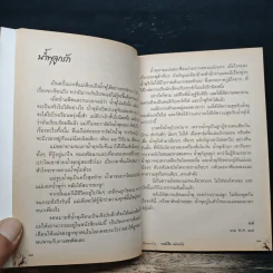 เรื่องของน้ำพุ - วงศ์เมือง นันทขว้าง รูปที่ 7