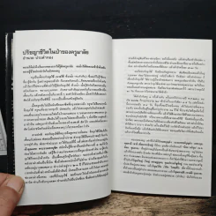 ล่องไพร ป่าช้าช้าง และเจ้าแผ่นดิน - น้อย อินทนนท์ รูปที่ 7