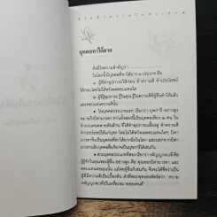 ชีวิตที่งดงามในตัวเอง รูปที่ 9