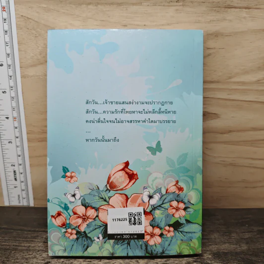 แค่รักนิดหน่อยก็พอ โกกนทวารีช - แอลลี่ รูปที่ 5