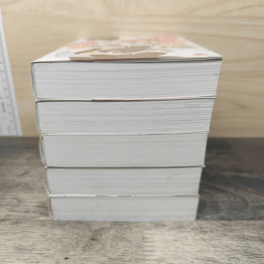 เจ้าหญิงสีชาดกับอัศวินดาบไร้เทียมทาน เล่ม 1-5 รูปที่ 5
