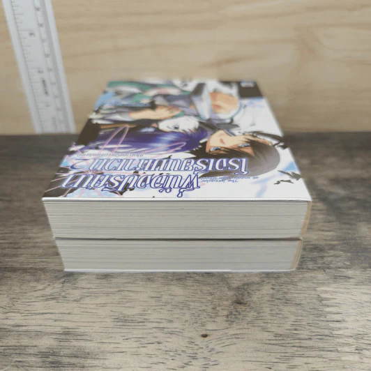 พี่น้องปริศนาโรงเรียนมหาเวท เล่ม 1-2 รูปที่ 3
