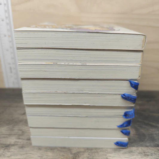 ฉันนี่ล่ะพ่อบ้าน เล่ม 1-9 - Hajime Asano รูปที่ 3