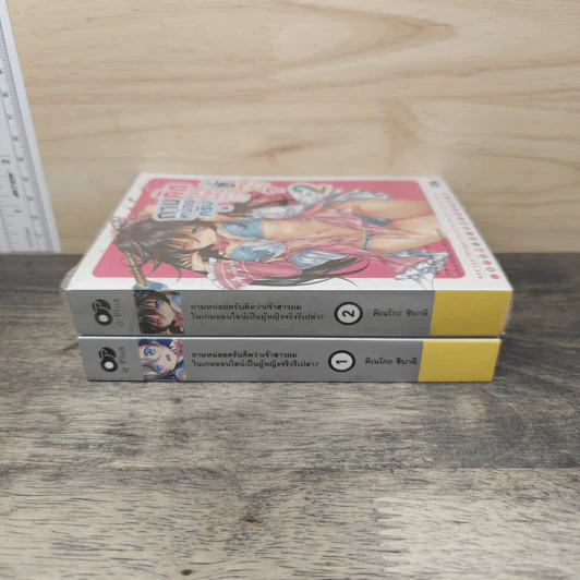 ถามหน่อยครับคิดว่าเจ้าสาวผมในเกมออนไลน์เป็นผู้หญิงจริงรึเปล่า? เล่ม 1-2 รูปที่ 2