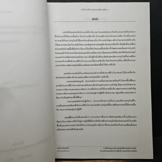 แผนการอนุรักษ์สิ่งแวดล้อมทางธรรมชาติ ซากดึกดำบรรพ์และไม้กลายเป็นหิน รูปที่ 7