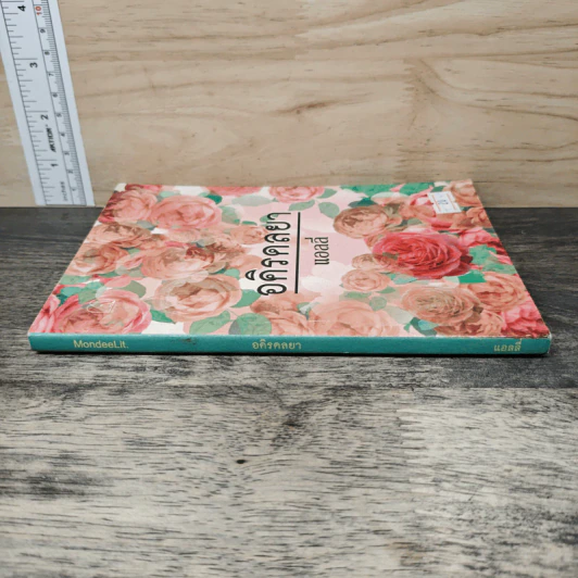 อคิรดลยา - แอลลี่ รูปที่ 2