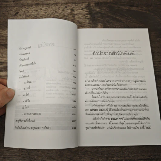 เจ้าลอยลมมาหรือไร - มวนยา พร รูปที่ 7