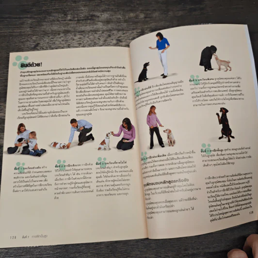 โรงเรียนลูกสุนัข Puppy School - Gwen Bailey รูปที่ 9