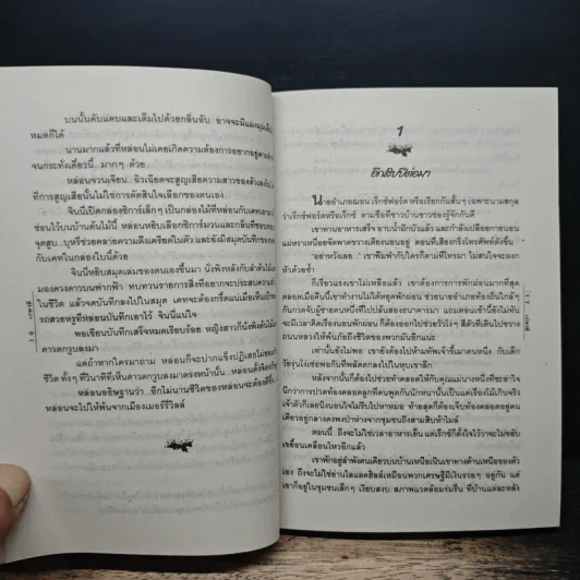 สาวแสบยกกำลังสอง - เกษวดี รูปที่ 8