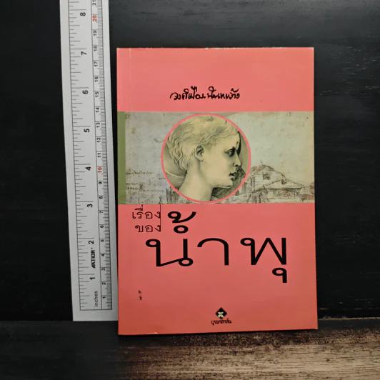 เรื่องของน้ำพุ - วงศ์เมือง นันทขว้าง รูปที่ 1