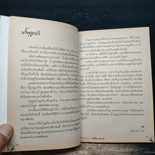 เรื่องของน้ำพุ - วงศ์เมือง นันทขว้าง รูปที่ 7