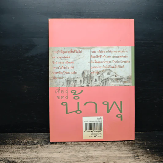 เรื่องของน้ำพุ - วงศ์เมือง นันทขว้าง รูปที่ 2