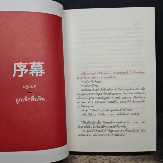 บันทึกการเดินทางของนายวิชัย มาตกุล คนไทยเชื้อสายจีนที่ไม่เคยไปประเทศจีน รูปที่ 7