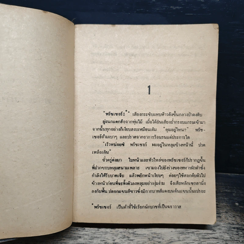 เทพบุตรนักเทศน์ - Harold Robbins รูปที่ 6
