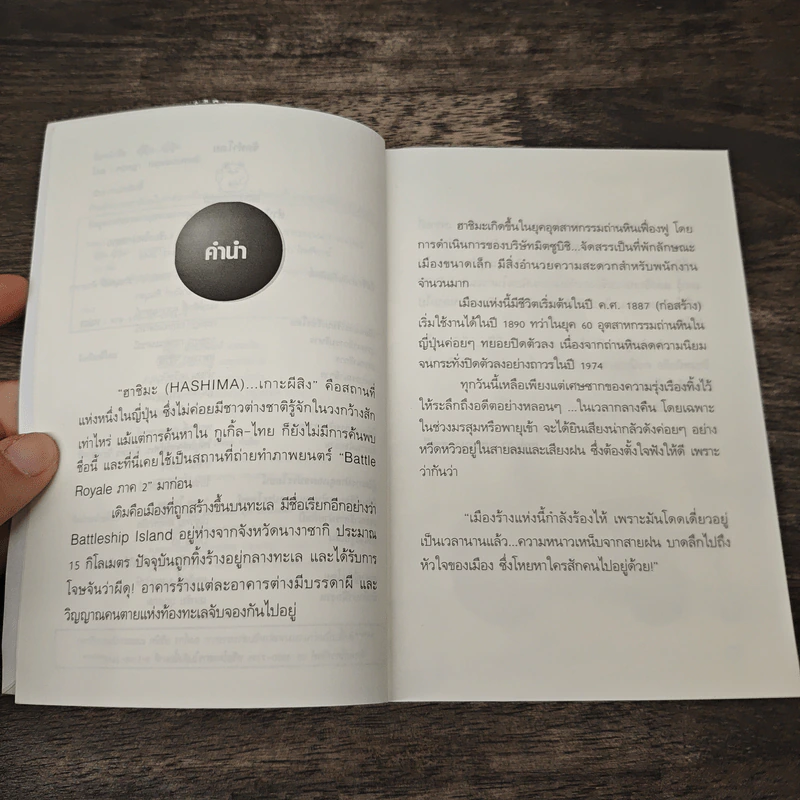 ญี่ปุ๊น…ญี่ปุ่น - กฤษฎา กฤษณะเศรณี รูปที่ 7