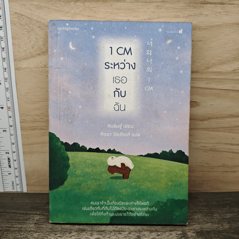 1 CM ระหว่างเธอกับฉัน - คิมอึนจู รูปที่ 1
