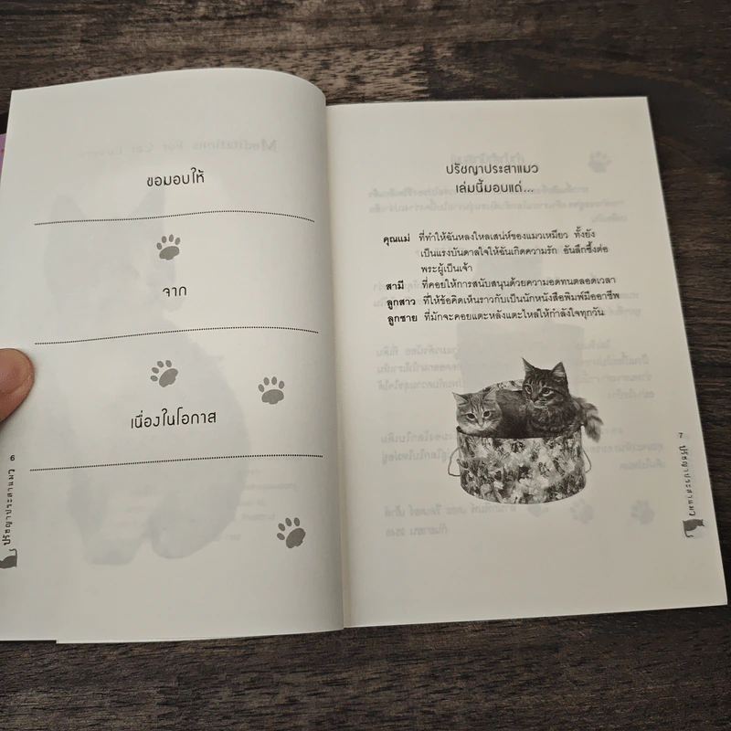 ปรัชญาประสาแมว - นิกิ แอนเดอร์สัน, จิรผล กนกศิลป์ รูปที่ 7
