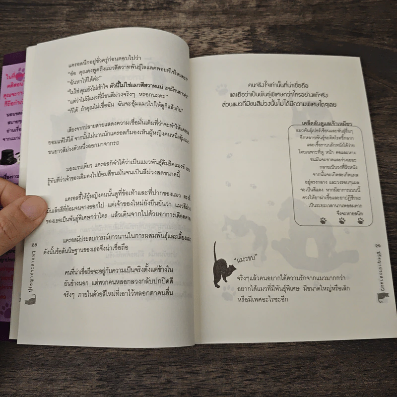 ปรัชญาประสาแมว - นิกิ แอนเดอร์สัน, จิรผล กนกศิลป์ รูปที่ 9