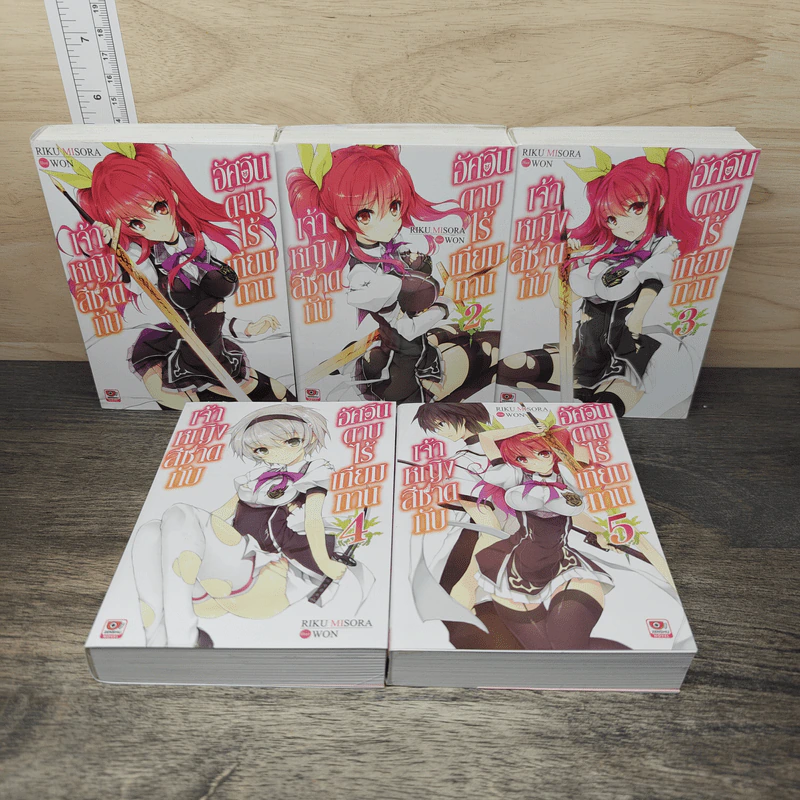 เจ้าหญิงสีชาดกับอัศวินดาบไร้เทียมทาน เล่ม 1-5 รูปที่ 1