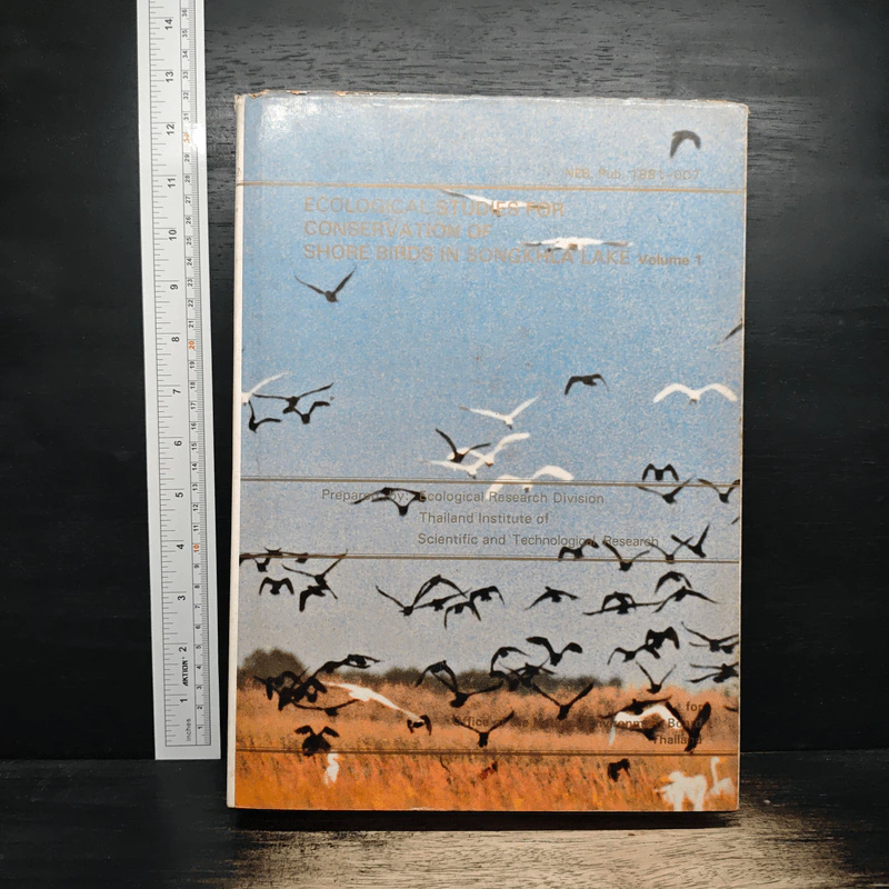 Ecological Studies for Conservation of Shore Birds in Songkhla Lake, Volume 1 รูปที่ 1