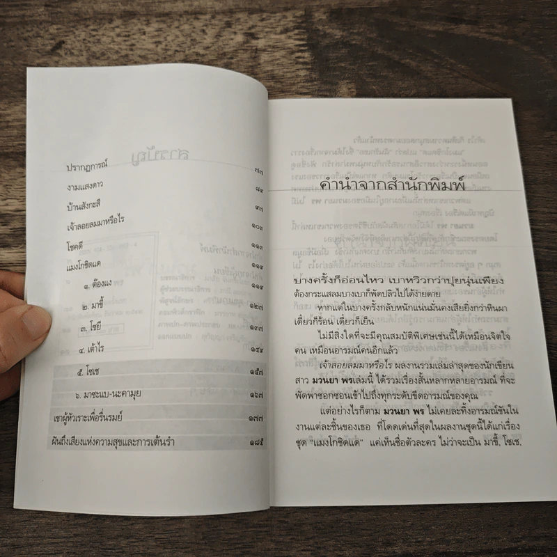 เจ้าลอยลมมาหรือไร - มวนยา พร รูปที่ 7