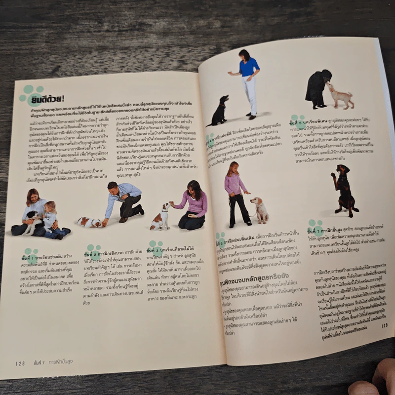 โรงเรียนลูกสุนัข Puppy School - Gwen Bailey รูปที่ 9