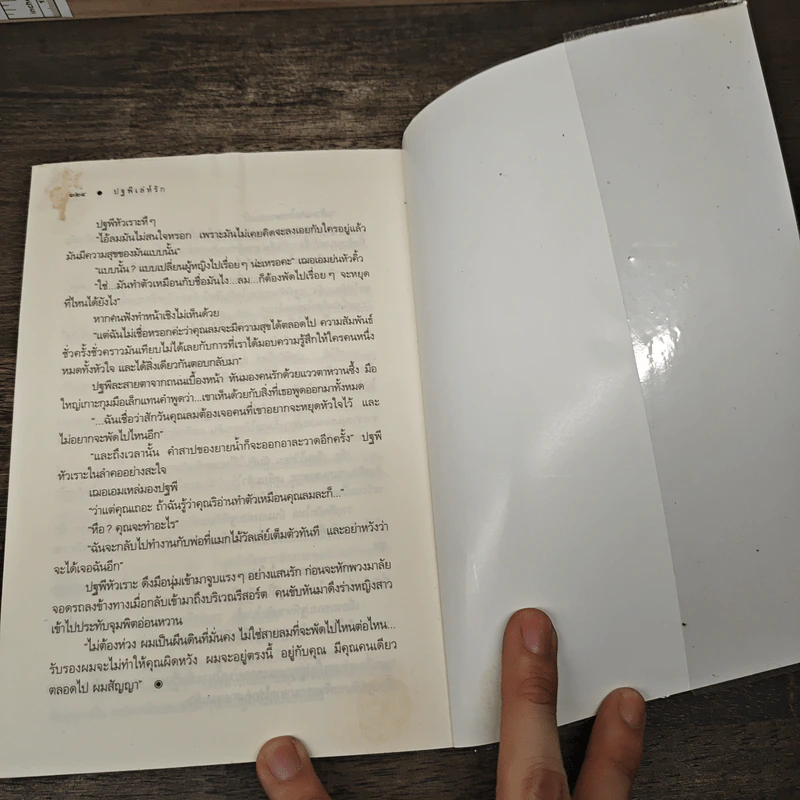 ปฐพีเล่ห์รัก - ร่มแก้ว รูปที่ 8