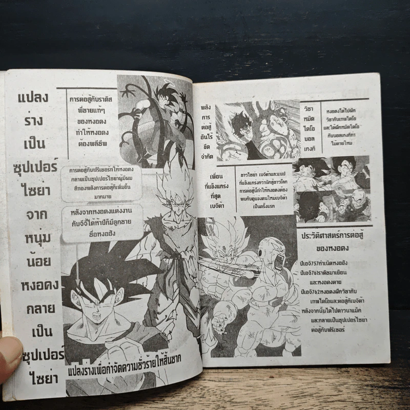 Dragon Ball GT ภาคพิเศษ รูปที่ 8
