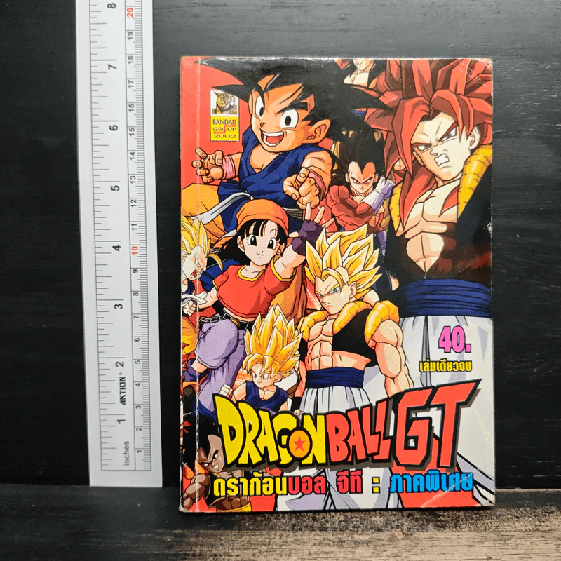 Dragon Ball GT ภาคพิเศษ รูปที่ 1