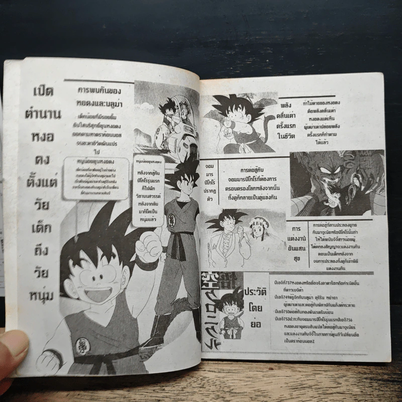 Dragon Ball GT ภาคพิเศษ รูปที่ 7