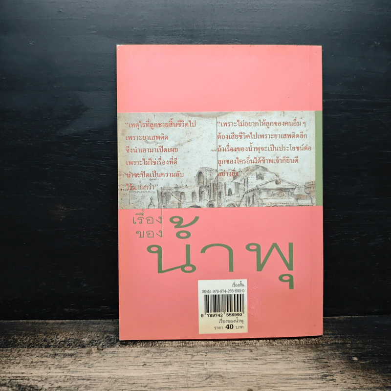 เรื่องของน้ำพุ - วงศ์เมือง นันทขว้าง รูปที่ 2