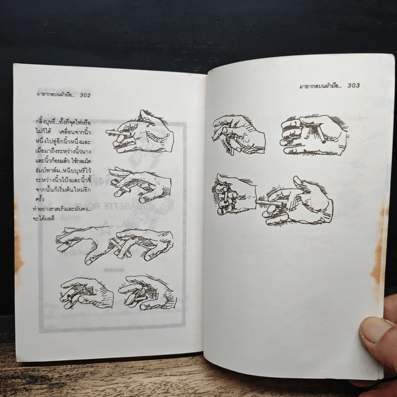 มายากลบนฝ่ามือ - บิลล์ ทารร์, มิสเตอร์ อาลาดิน รูปที่ 11