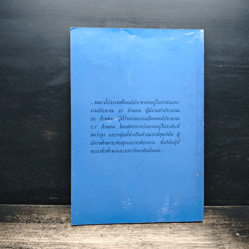 ศิลปการหางานทำ - วานิช พลูวังกาญจน์ รูปที่ 2