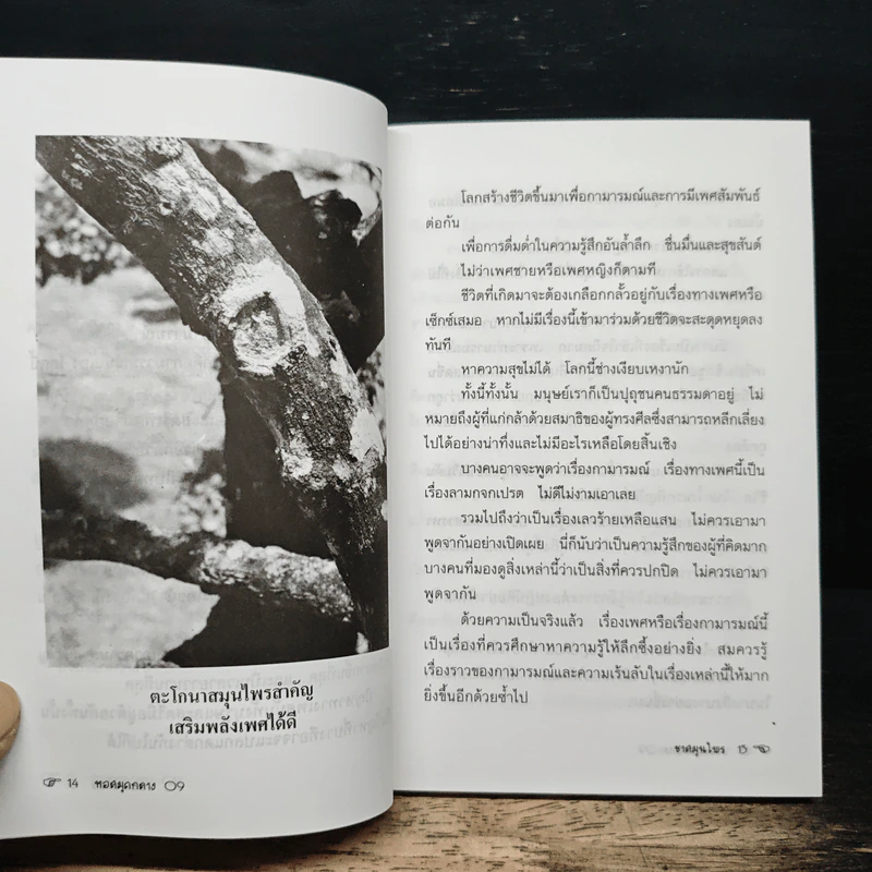 ชาสมุนไพร เสริมพลังเพศ รูปที่ 9