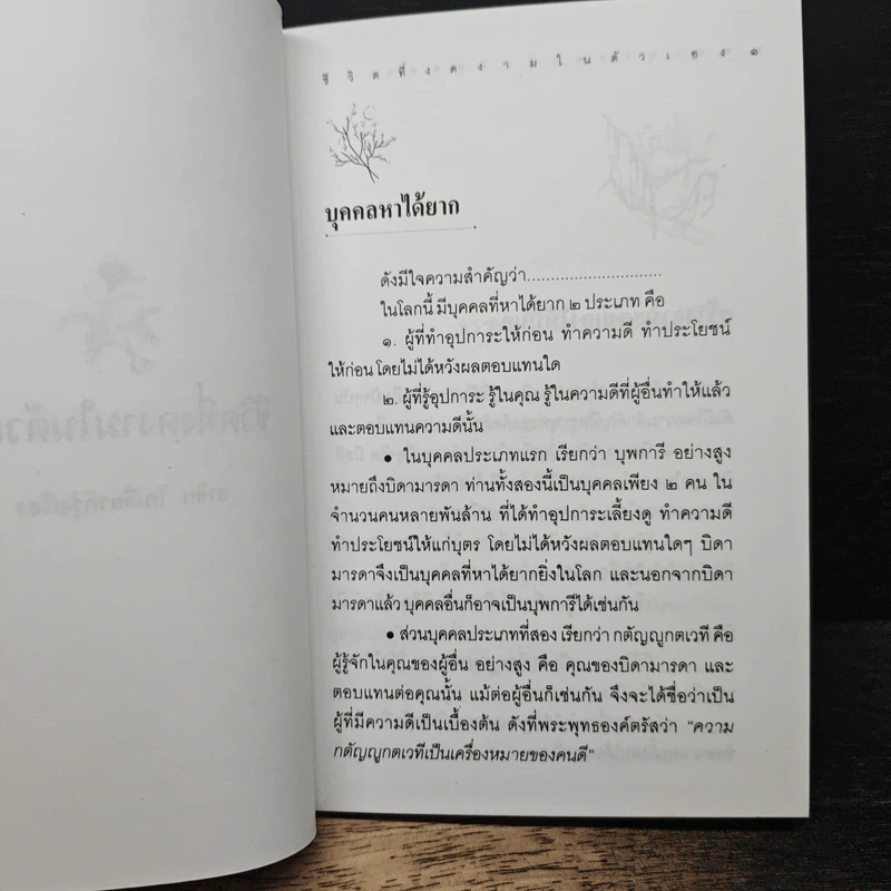 ชีวิตที่งดงามในตัวเอง รูปที่ 9