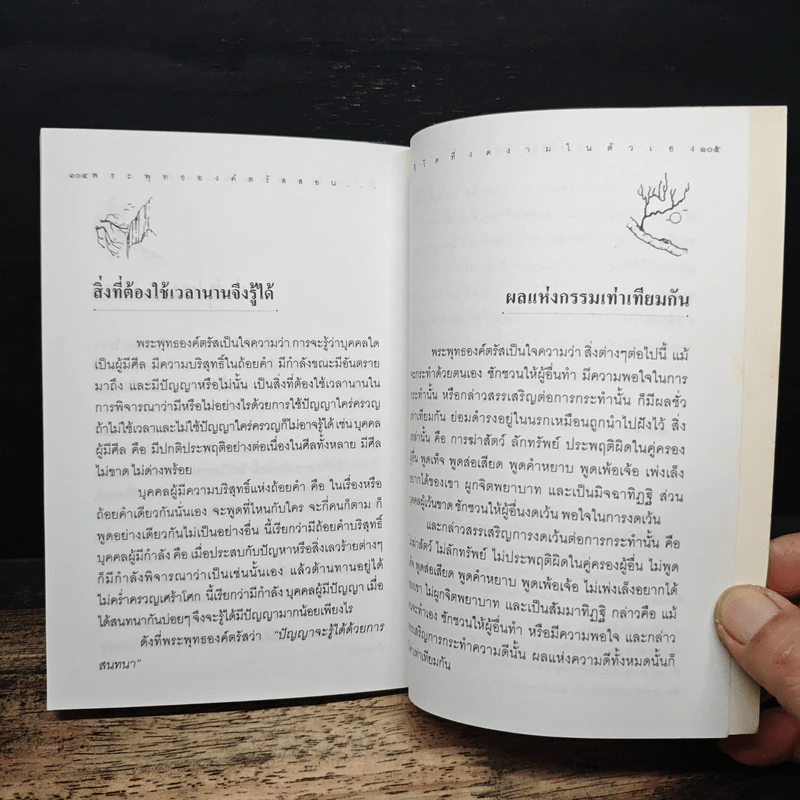 ชีวิตที่งดงามในตัวเอง รูปที่ 10