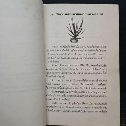 ว่านหางจระเข้ ตำรับแพทย์จีน - ทัศนีย์ เมฆอริยะ รูปที่ 8