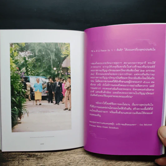เจ้าหญิงในดวงใจประชาชน รูปที่ 9