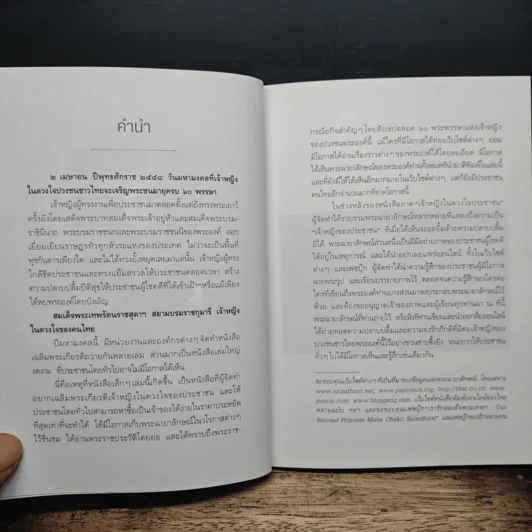 เจ้าหญิงในดวงใจประชาชน รูปที่ 7