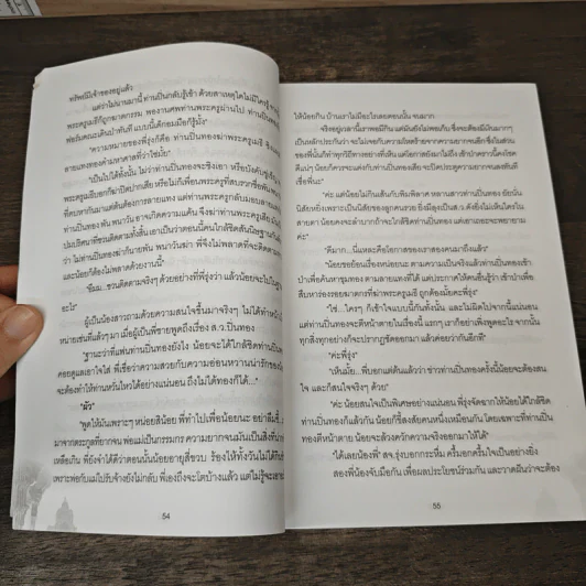 ปริศนาอินทราณี - สิงขร รูปที่ 8