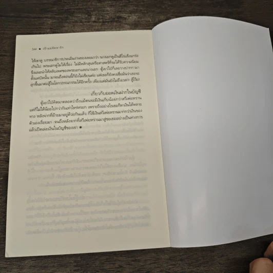 เจ้าแม่จัดหารัก - เจวี่ยนซี, อัญลี่ รูปที่ 8