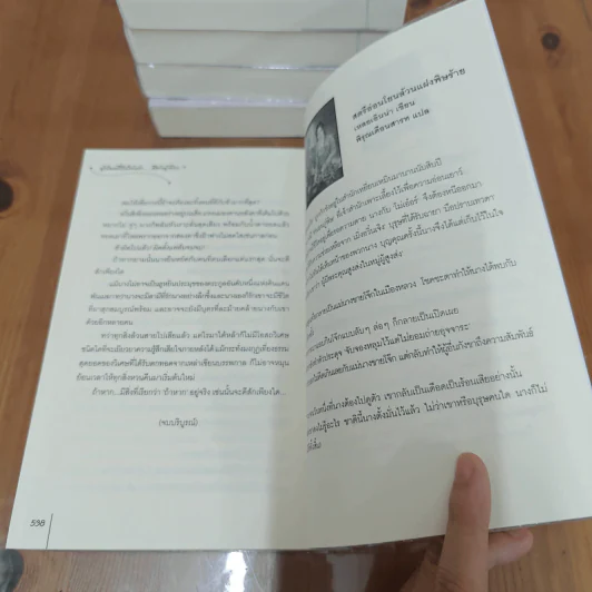 Boxset ผู้เป็นหนึ่งในใต้หล้า...คือข้าผู้เดียว 7 เล่มจบ - เอ๋อเหมย, ถังเจวียน รูปที่ 16