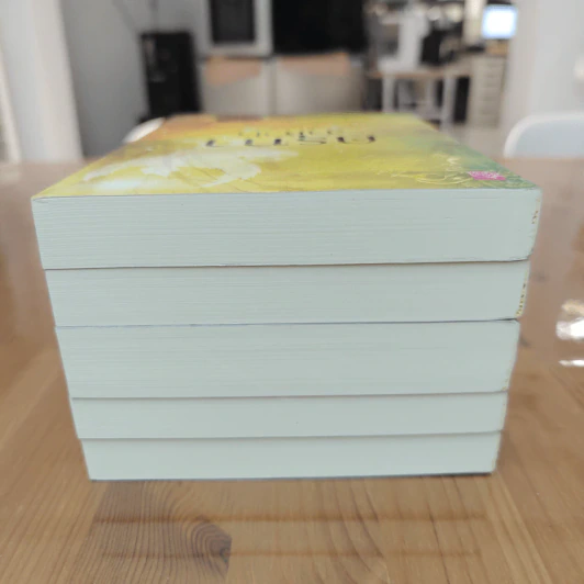 Boxset ซีรีย์ หิมวันต์รัญจวน 5 เล่ม - เก้าแต้ม, ลิซ รูปที่ 7