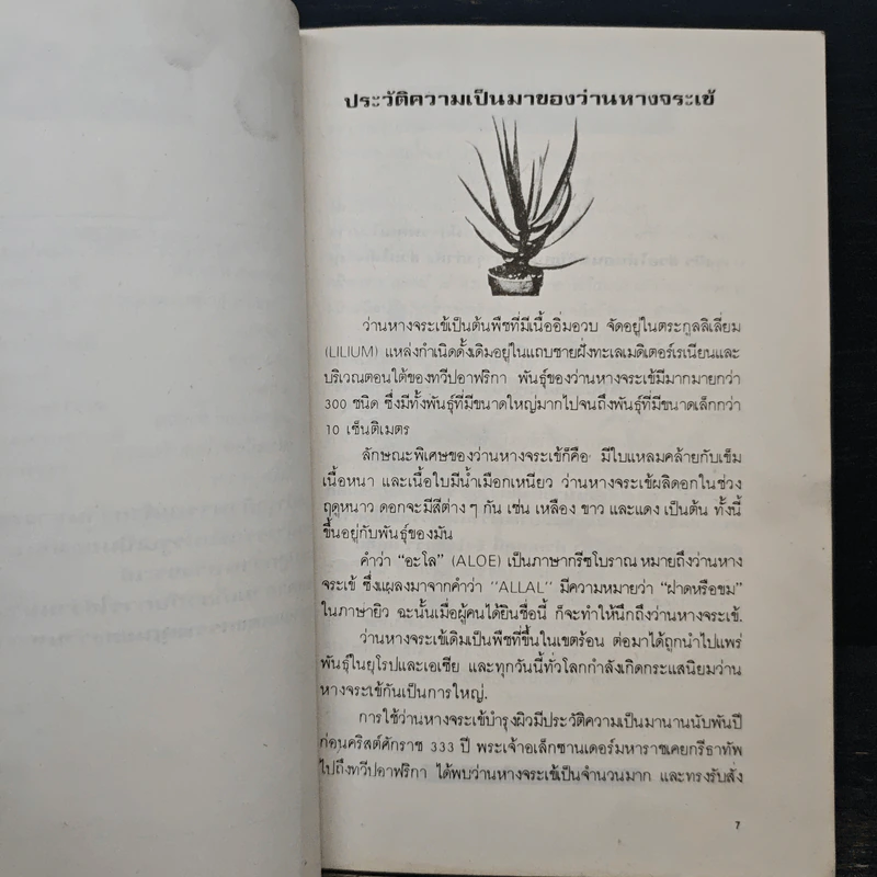 ว่านหางจระเข้ ตำรับแพทย์จีน - ทัศนีย์ เมฆอริยะ รูปที่ 8