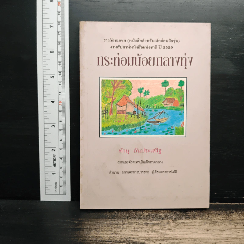 กระท่อมน้อยกลางทุ่ง - ทำนุ อ้นประเสริฐ รูปที่ 1