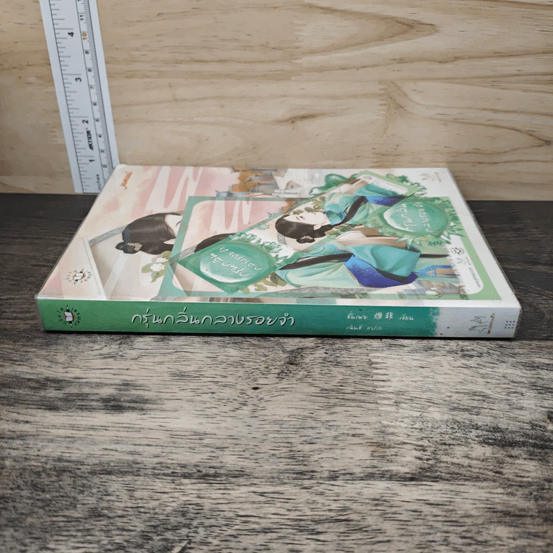 กรุ่นกลิ่นกลางรอยจำ - ชั่นเฟย รูปที่ 2