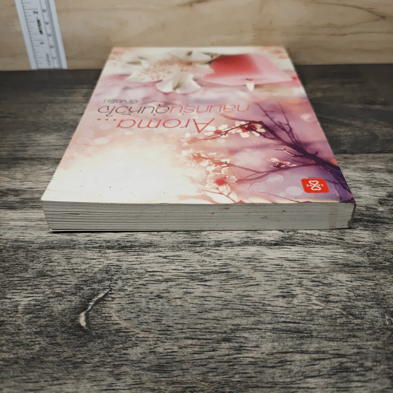 Aroma...กลิ่นกรุ่นอุ่นหัวใจ - อัญชรีย์ รูปที่ 4