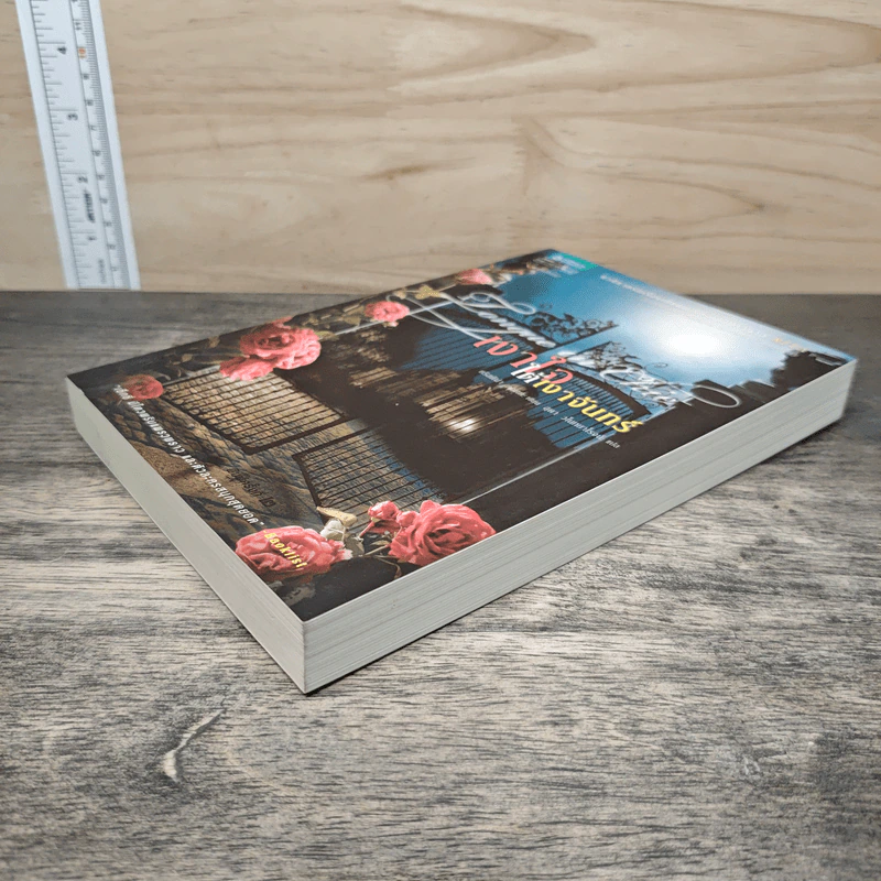 เงาใจใต้เงาจันทร์ Tongue in Chie - คริสติน่า ดอดด์ (Christina Dodd) รูปที่ 3