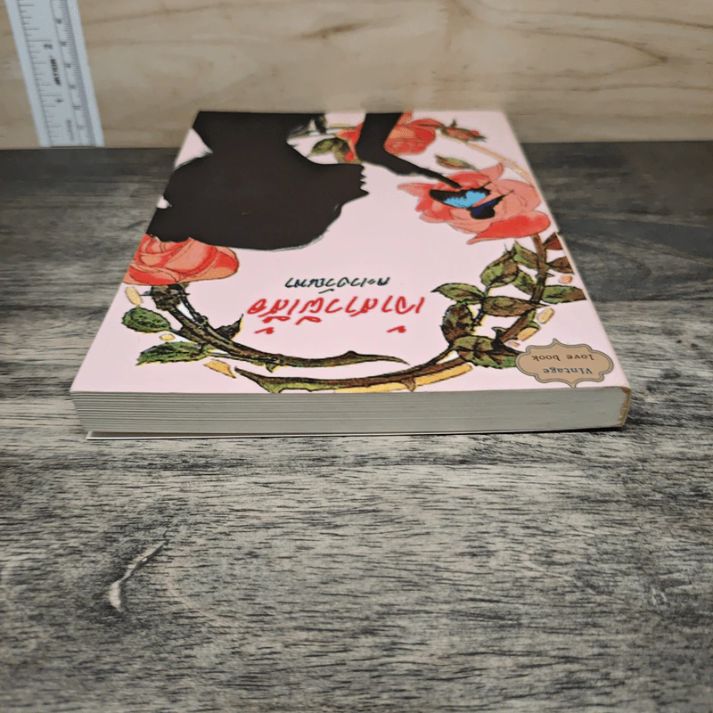 เจ้าสาวผีเสื้อ - ละเวงวัณฬา รูปที่ 4